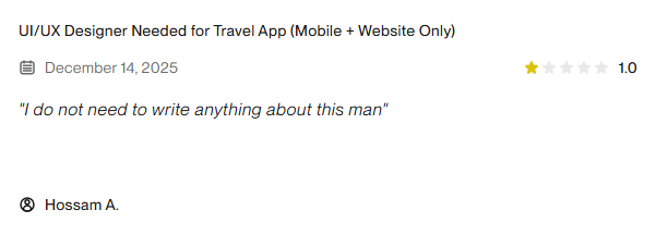 Upwork review screenshot 4
